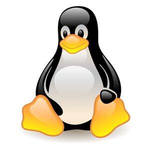 idrive-linux-support