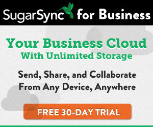 sugarsync-for-business-free-30-day-trial